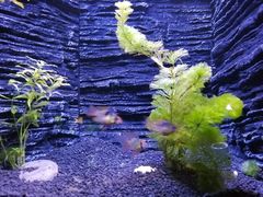 -上海海洋水族馆