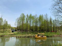 -贡湖湾湿地公园