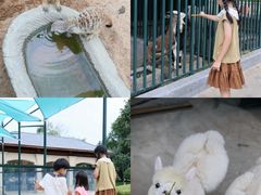 -青岛鑫江温德姆酒店