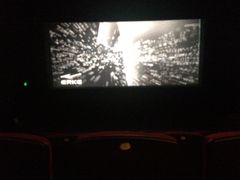 -万达影城(潍坊万达广场IMAX店)