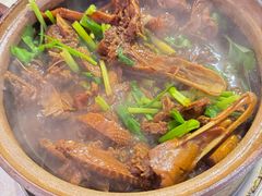 -霞姐屯昌枫木香草鸭店(海螺店)