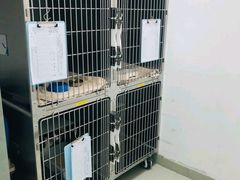 -美美宠物诊疗中心·异宠·骨科(滨江东信分院)