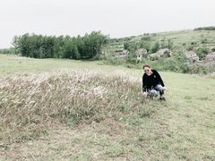 -恋山坝上草原