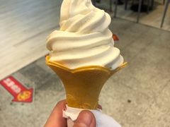 豆浆冰淇淋-永和大王(浦东南路店)