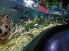 -常州海昌海洋探索馆