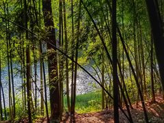 -重庆雨台山风景区