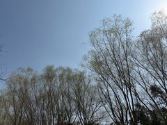 -大哈福烧烤·海鲜·家常菜(延安三路店)