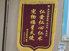 -米苏动物医院·犬猫专科·骨科外科内窥镜