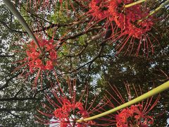 -白塘生态植物园
