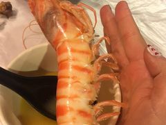 -鲜入围煮花胶鸡海鲜火锅