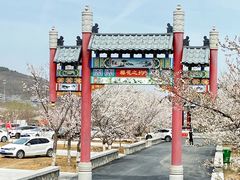 -樱花山风景区