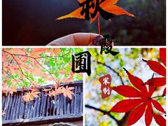 -秋霞圃