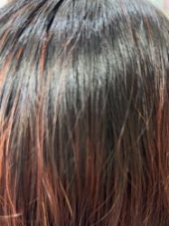 -波斯坦植物养发馆