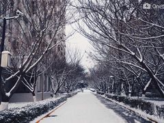 -西安交通大学(雁塔校区)