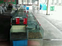 -阳光海鲜大排档