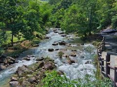 -广州白江湖森林公园