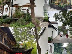 -运河游船(武林门码头)