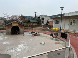 -造物庄园 萌宠纪(苏州湾歌林公园店)
