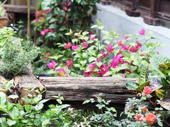 -猫的天空之城概念书店(西塘古镇店)