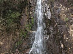 -姑婆山旅游区