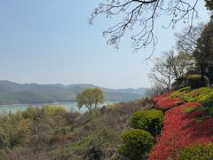 -天目湖涵田半山温泉