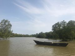 -大湾区中央湿地公园