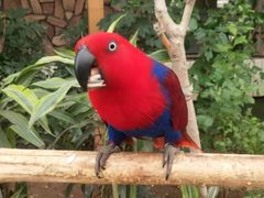 -南宫五洲植物乐园