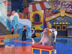 -海合安武汉极地海洋公园