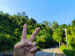 -火炉山森林公园