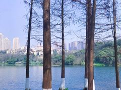 -重庆彩云湖湿地公园