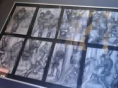 -阿姆斯特丹性博物馆