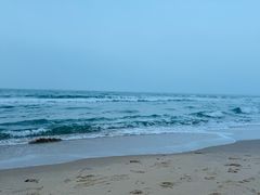 -海云台海滩