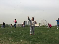 外出活动&nbsp;—春游世博园-灞桥十里铺舒克幼儿园