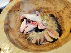 -云中鱼蒸汽石锅鱼(浦东食品城店)