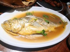 家常烧黄花鱼-前海沿·青岛菜(大拇指广场石老人店)