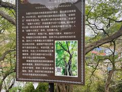 -幕燕滨江·燕子矶公园