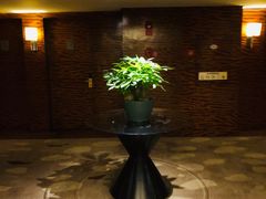 -成都凯宾斯基饭店