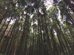 -含鄱口