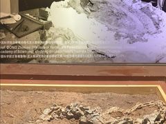 -世界恐龙谷景区