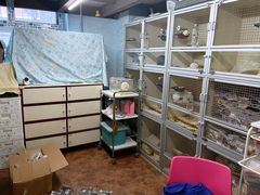 -钓仓鼠(洋桥北里小区店)