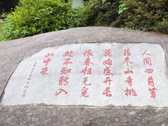 -庐山风景区花径公园