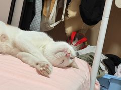 -宠颐生宠物医院外科·内科·皮肤科·影像科(石龙店)