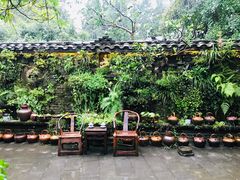 -青城甲(青城山店)