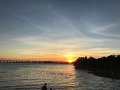 -宝安西湾红树林湿地公园