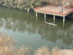 -西安汉城湖景区