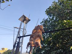 -涠洲岛香蕉鸡