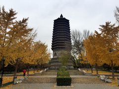 -玲珑塔公园