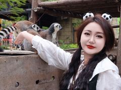 -灵玲国际马戏城