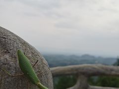 -玻璃桥景区石牛寨