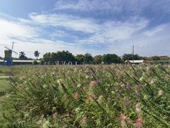 -广东花都香草世界旅游度假区